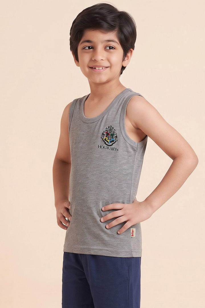 Lee Cooper Boys Harry Potter Vest (Pack of 2) - Multicolor — image 3